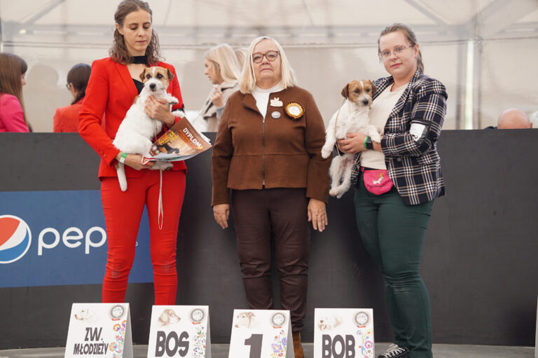 jack russell terrier reproduktor