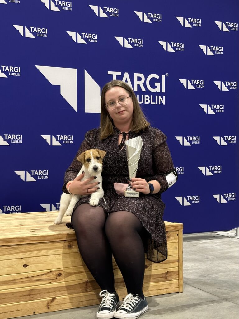 jack russell terrier