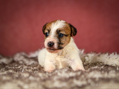 164DF88C-BDC7-4C36-A4CC-5680CC3628ED_4_5005_c