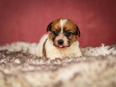 1828D9A8-7345-4256-9BEC-8CF82E2F91EC_4_5005_c