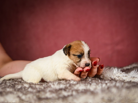 35E76884-C04A-4E87-8974-8A5E416BB535_4_5005_c