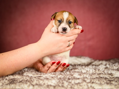 450A95DB-BCAE-4E4D-BC85-047FC8FB6A4C_4_5005_c