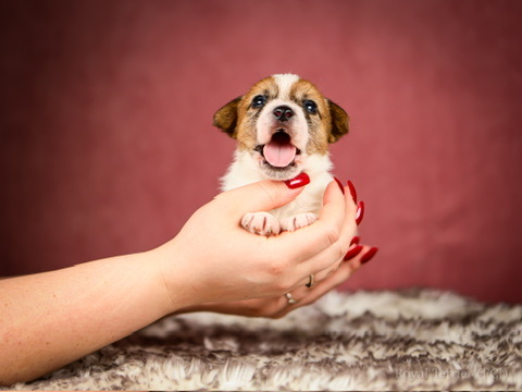 927B95A3-DFCF-4A74-A0F5-9F2A5D7D9836_4_5005_c