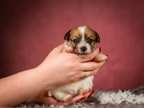 B02081A7-655D-455C-A428-13CB39FE74AB_4_5005_c