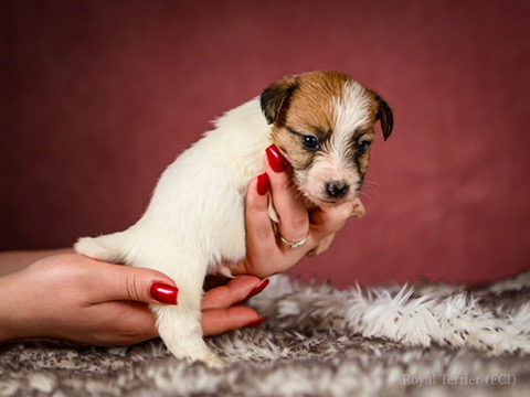 E2994881-0509-4A75-A967-7EFE98203FC0_4_5005_c